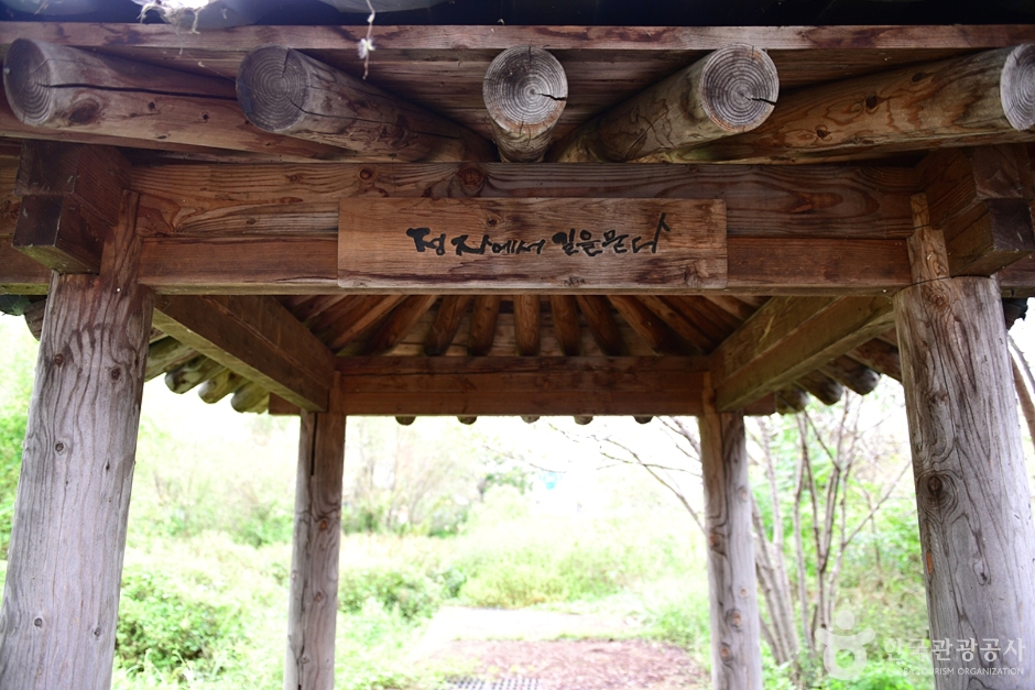 신창동 선사유적지 (7)