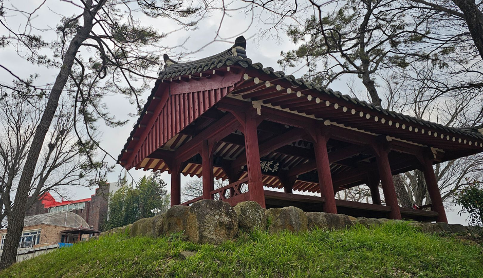 광주_양과동정 (3)