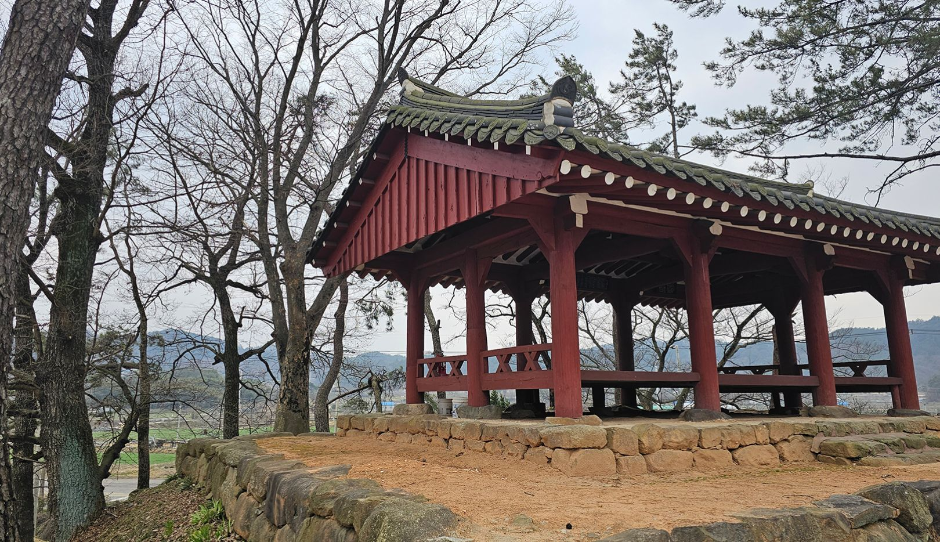 광주_양과동정 (4)