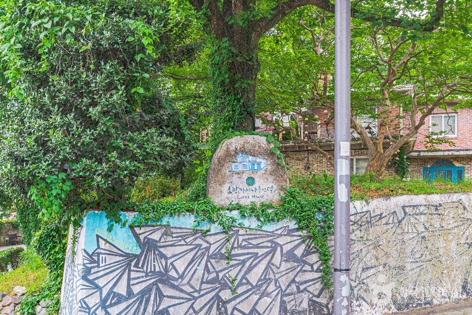 광주_양림동 호랑가시나무길 (6)