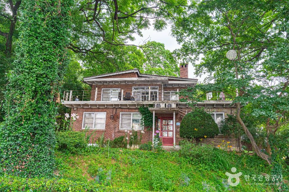 광주_양림동 호랑가시나무길 (5)