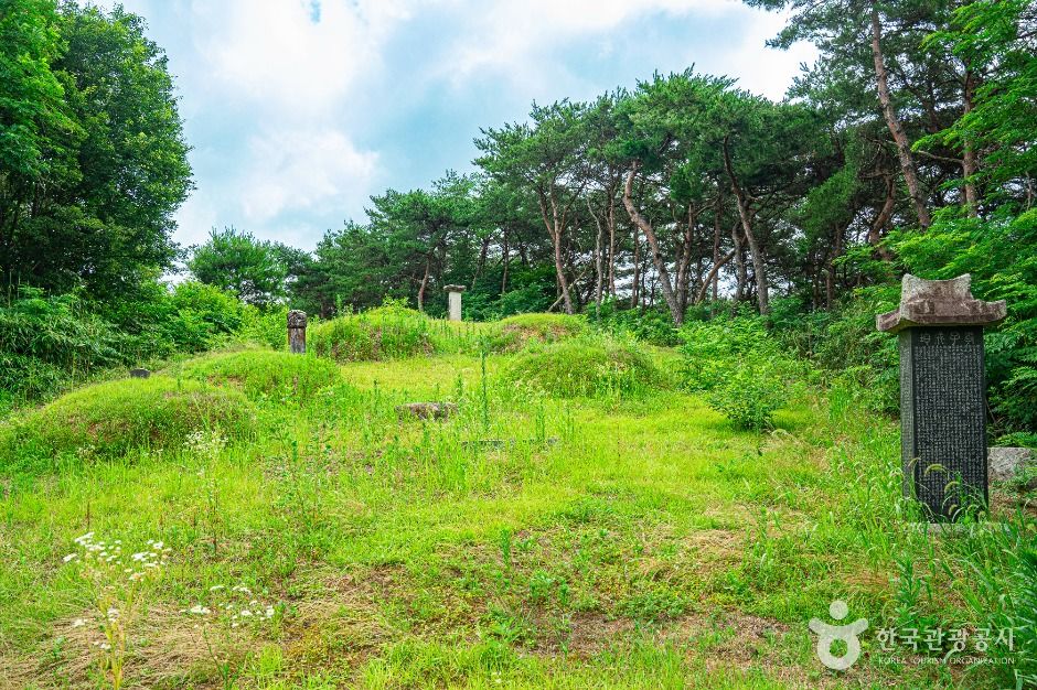 광주_양송천묘역 (2)