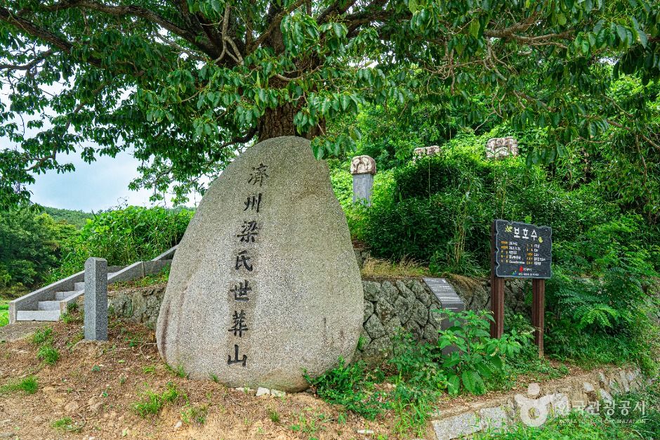 광주_양송천묘역 (4)