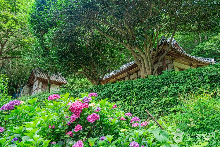 광주_용진정사 (6)