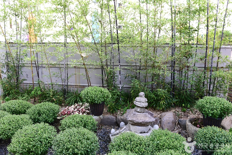 원각사(광주) (15)