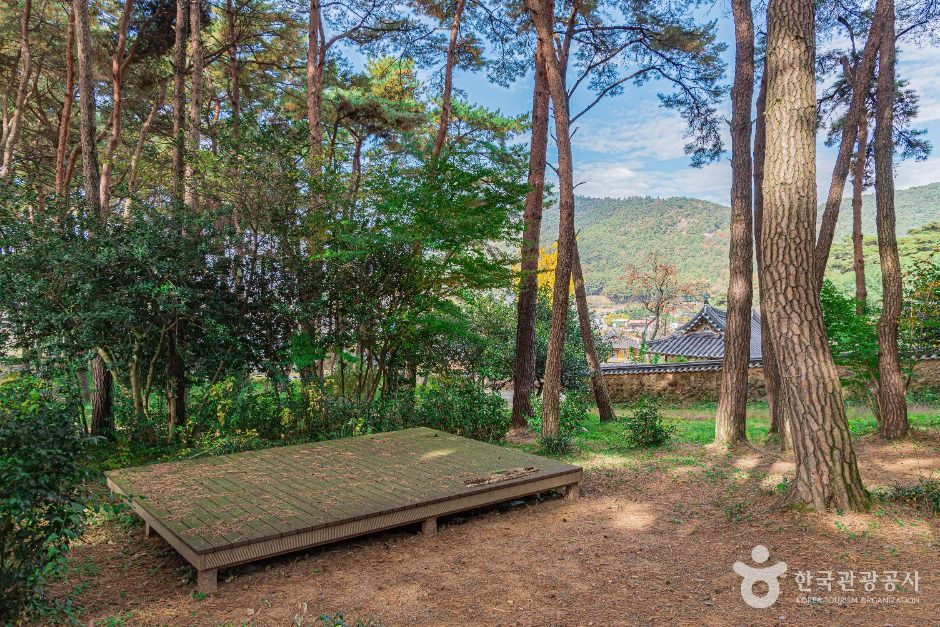 광주_제봉산 마법의 숲 체험원 (3)