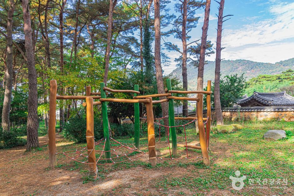 광주_제봉산 마법의 숲 체험원 (2)