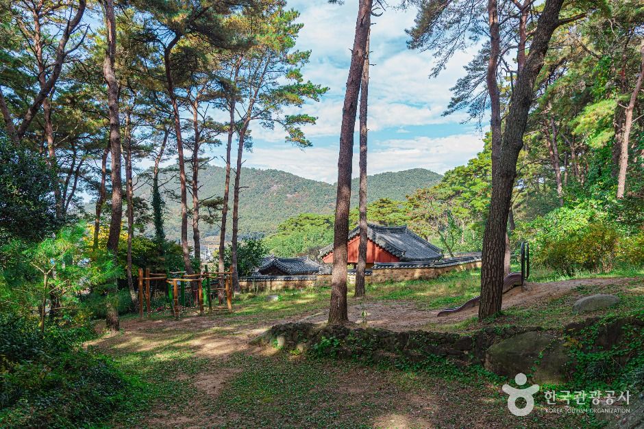 광주_제봉산 마법의 숲 체험원 (4)