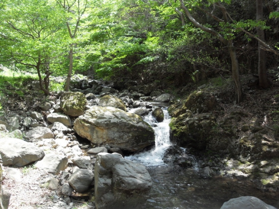 증심사계곡 안산암질용암_1_국가지질공원