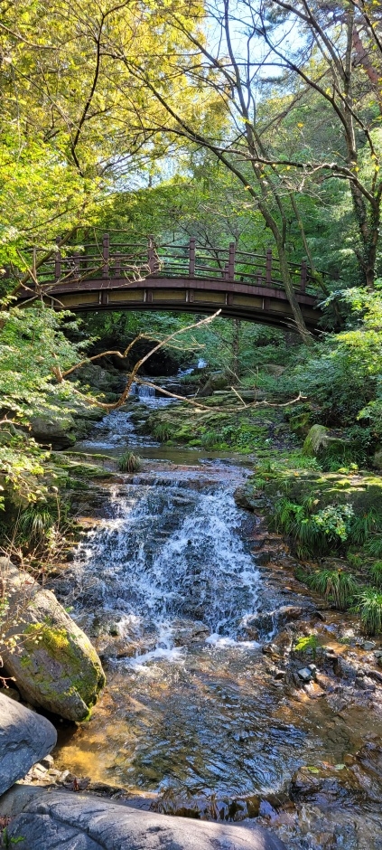 증심사계곡 안산암질용암_2_국가지질공원