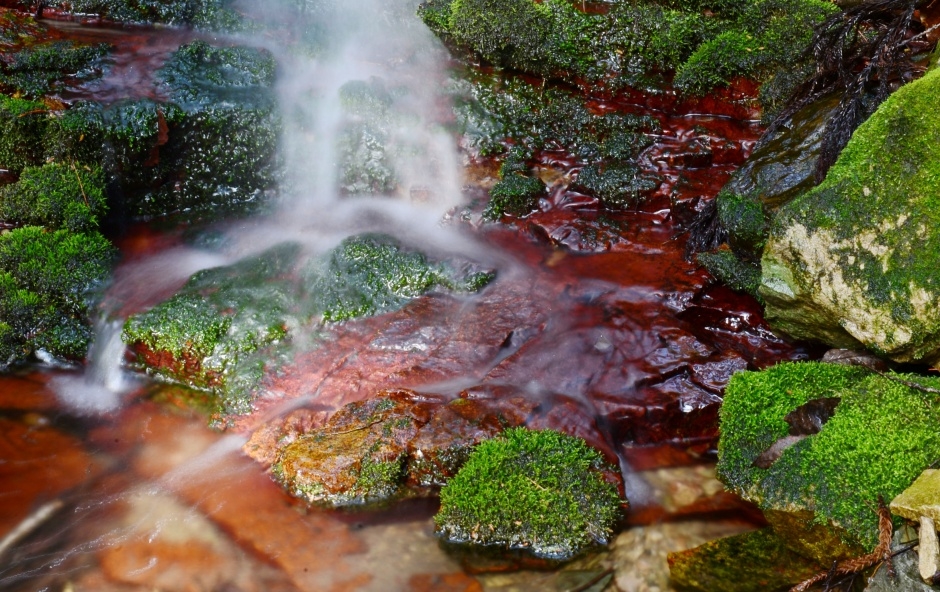증심사계곡 안산암질용암_3_국가지질공원