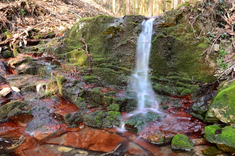 증심사계곡 안산암질용암_4_국가지질공원