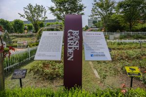 조선대학교 장미원