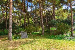 제봉산 마법의 숲 체험원