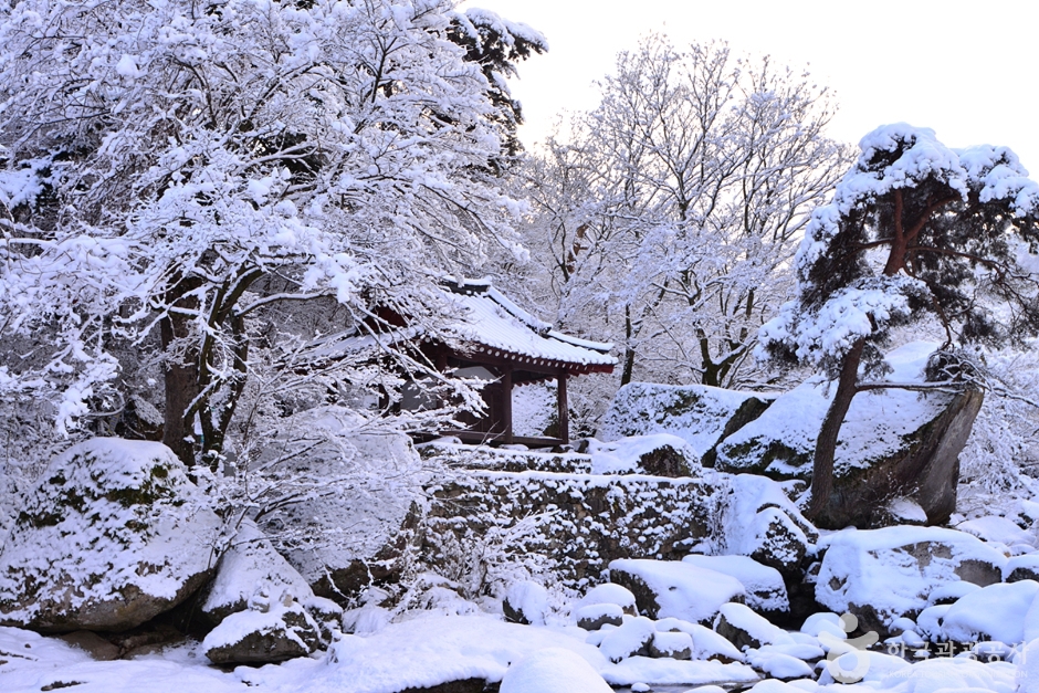 광주_북구_풍암정 (7)