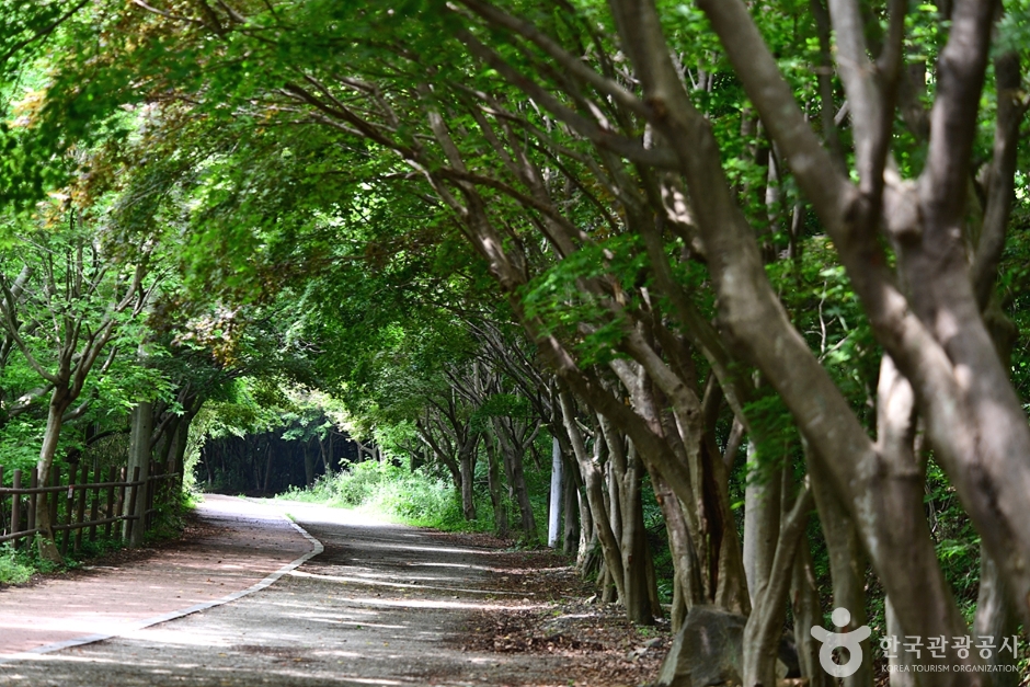 광주_북구_풍암정 (10)
