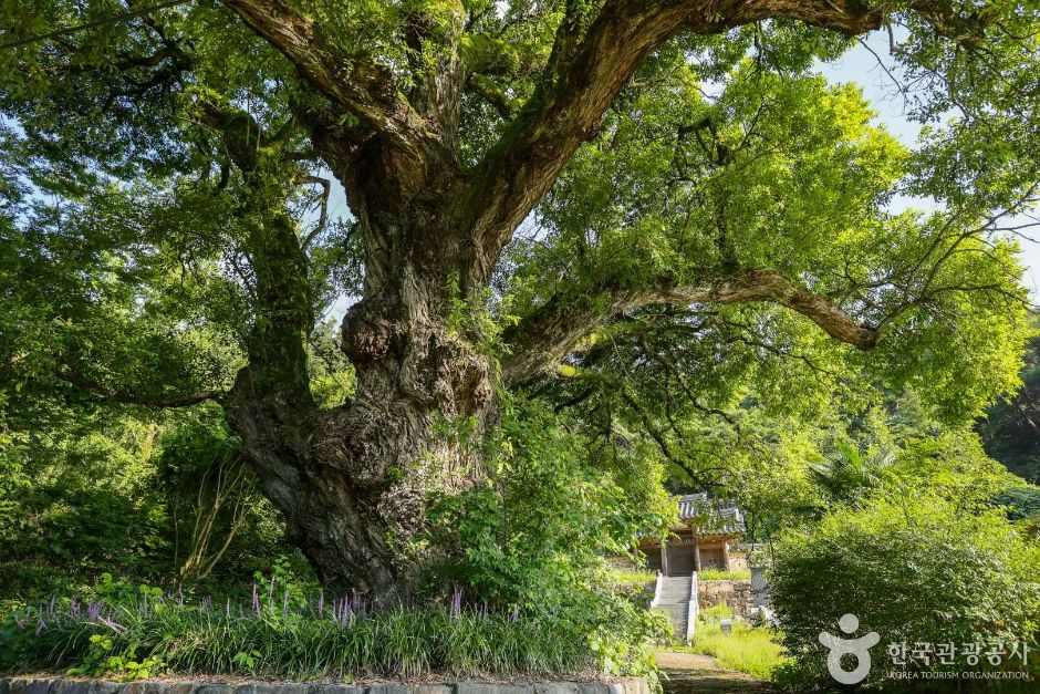 필문 이선제부조묘 (1)