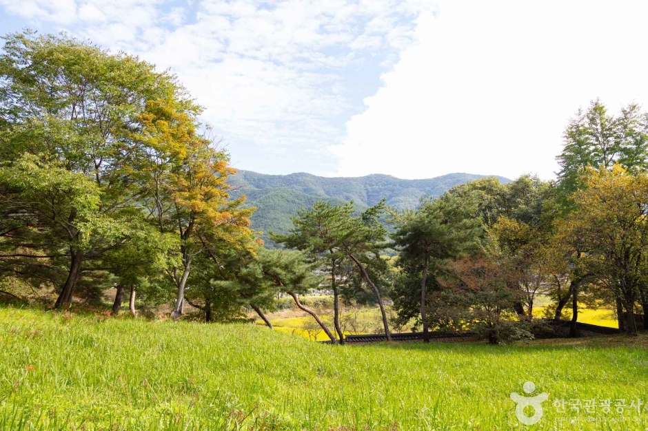 광주_북구_환벽당·조대 (2)