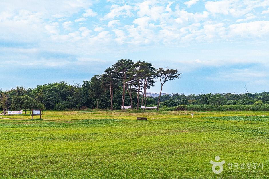 광주_황룡친수공원 (3)