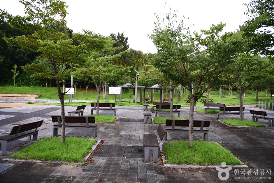 효천물빛노닐터 (18)