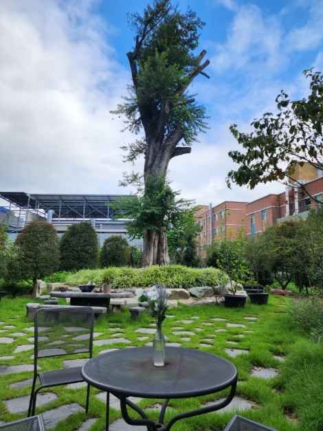 광주_휴심정 (10)