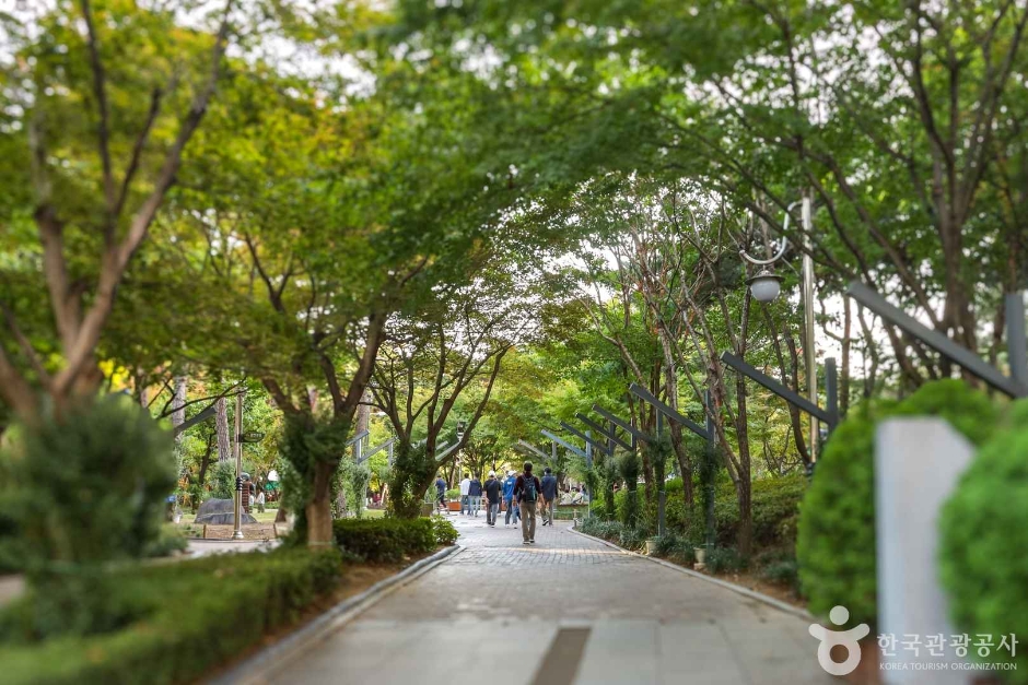 2.28기념중앙공원_5