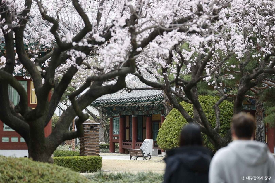 경상감영공원 (2)