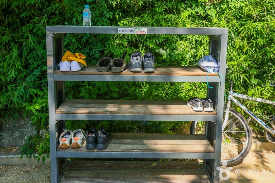 고산골 메타쉐콰이어길 (7)