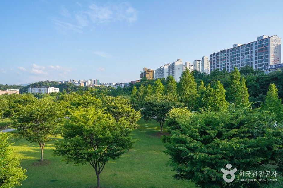 대구_공항교강변공원 (4)