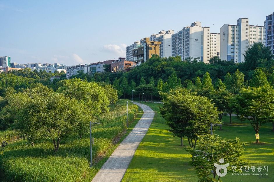 대구_공항교강변공원 (5)