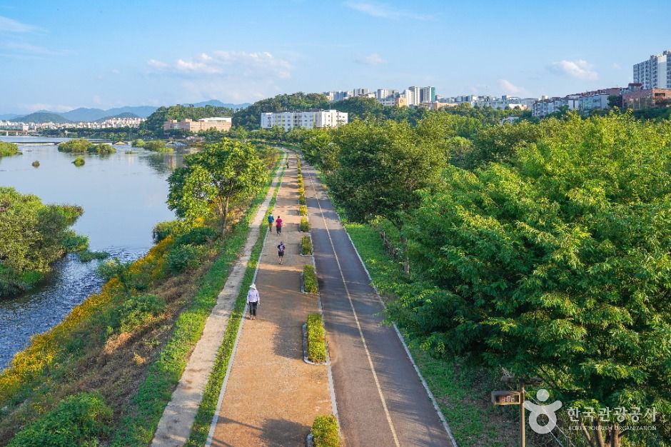 대구_공항교강변공원 (6)
