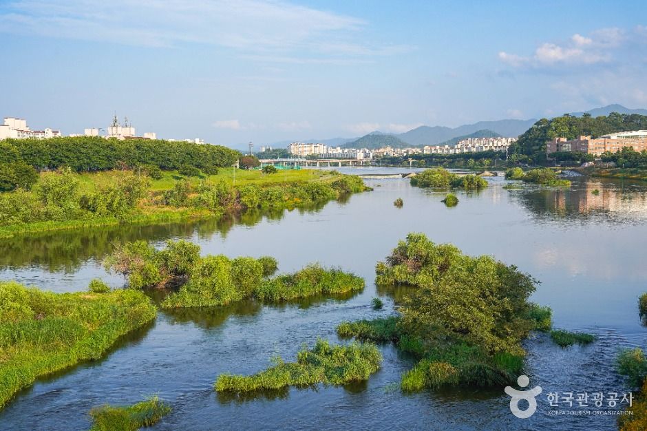 대구_공항교강변공원 (7)