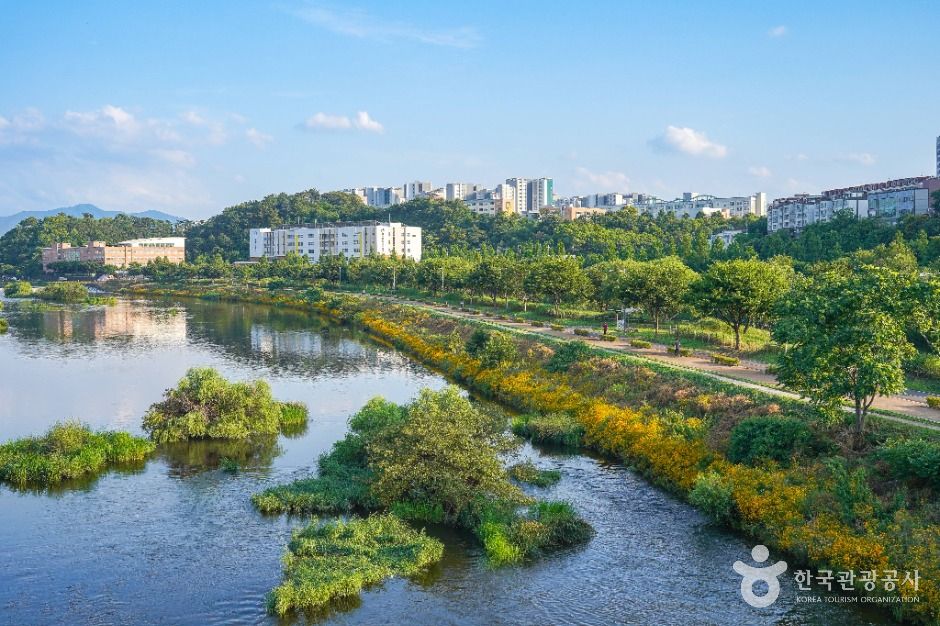 대구_공항교강변공원 (1)