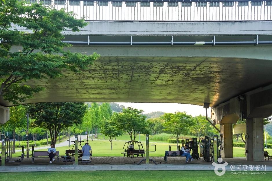 대구_공항교강변공원 (2)