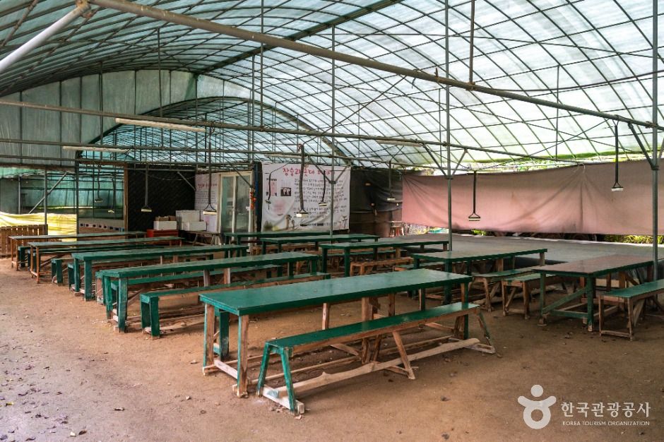 대구_구암팜스테이마을 (5)