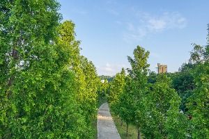 공항교강변공원