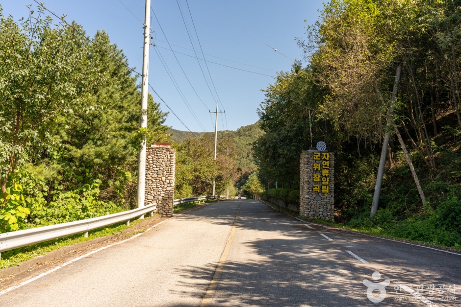 군위 장곡자연휴양림