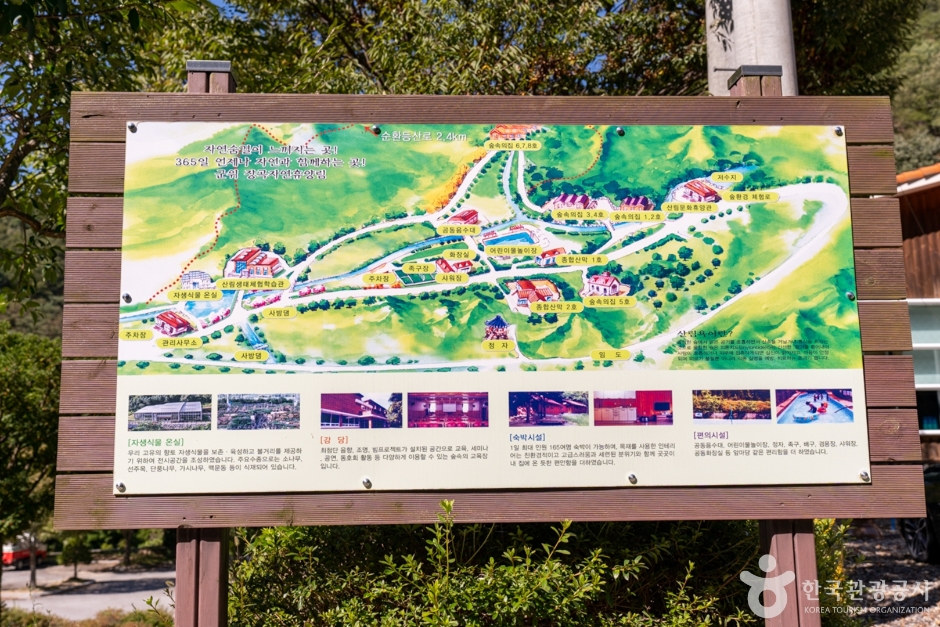 군위 장곡자연휴양림 (2)