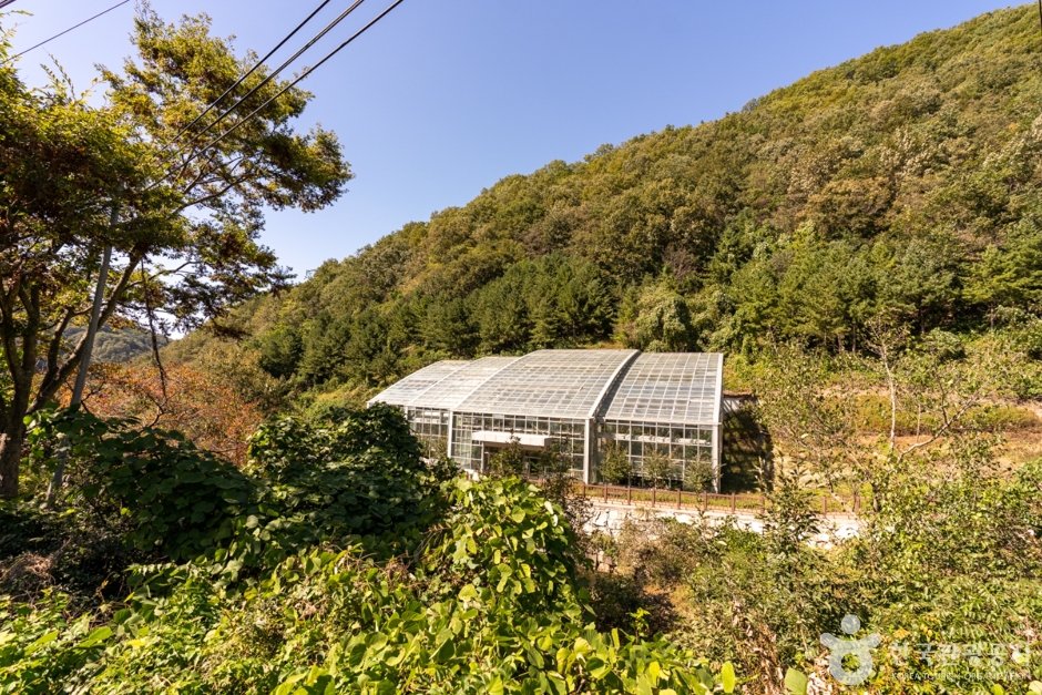 군위 장곡자연휴양림 (3)