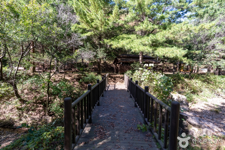 군위 장곡자연휴양림 (9)