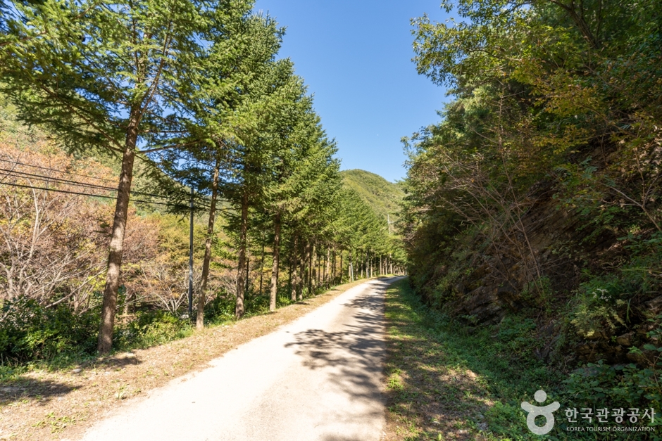 군위 장곡자연휴양림 (10)