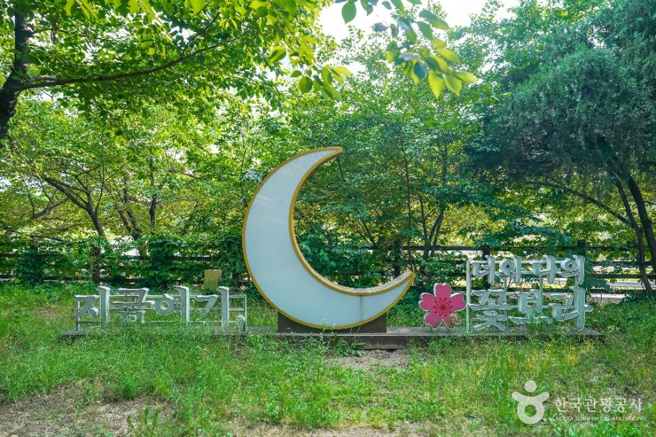 대구_꽃보라동산 (3)