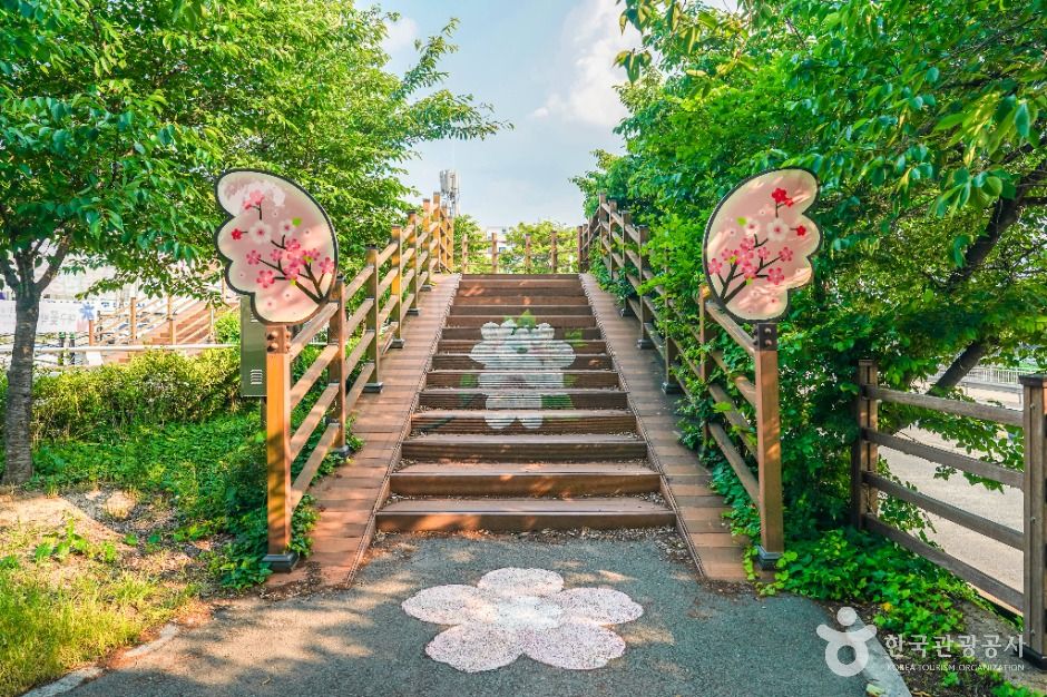 대구_꽃보라동산 (5)