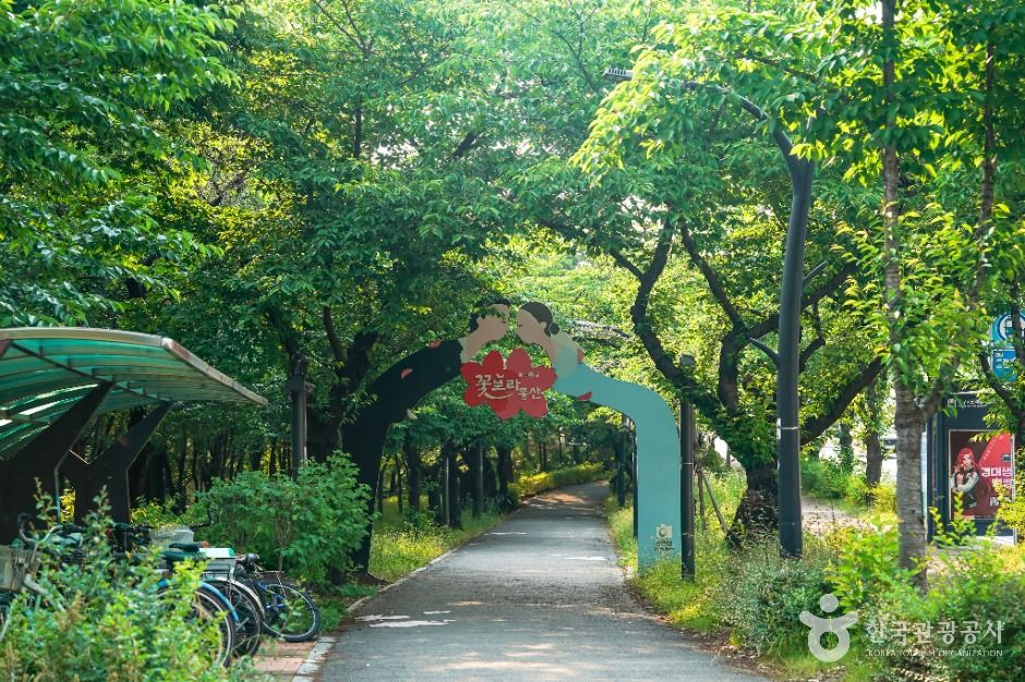 대구_꽃보라동산 (6)