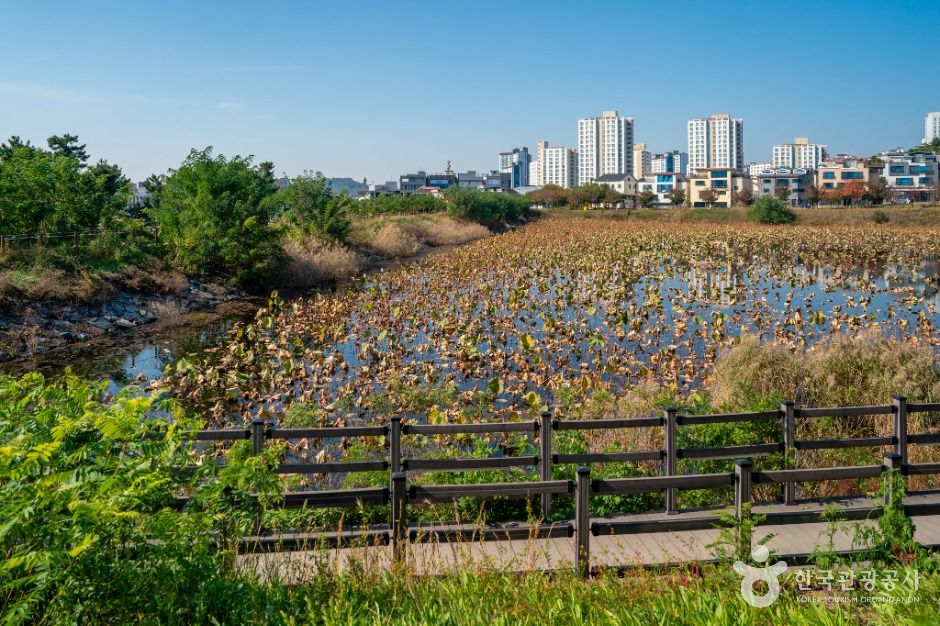 대구_나불지 생태공원 (6)