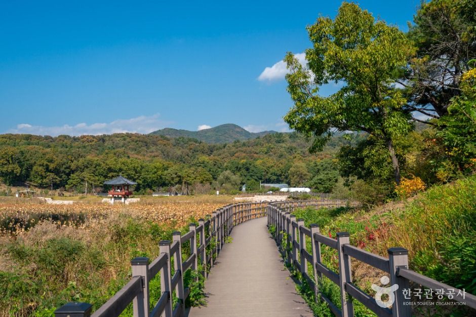 대구_나불지 생태공원 (4)