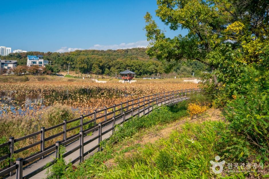 대구_나불지 생태공원 (5)