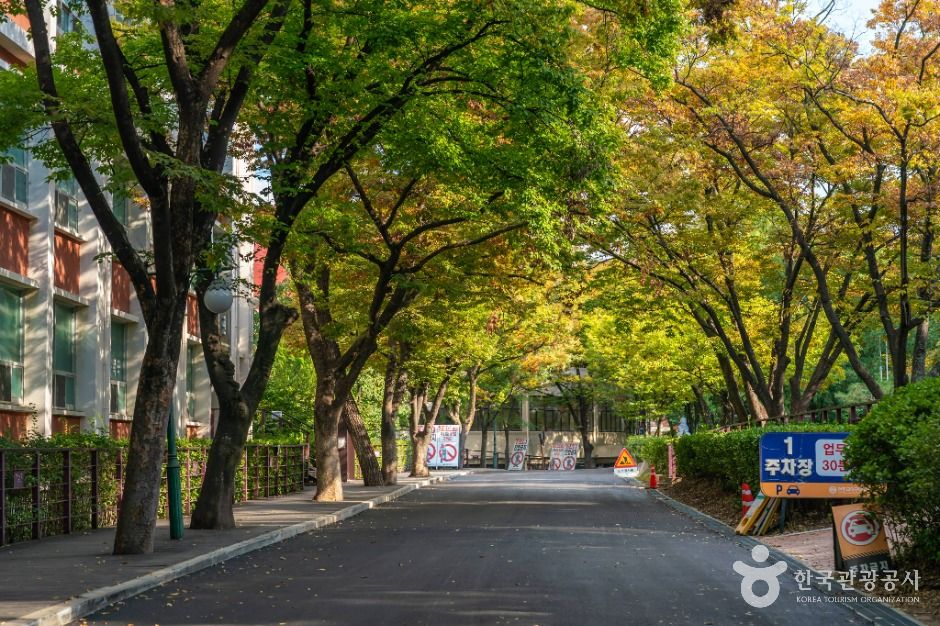 대구_남산동 가톨릭타운 (1)