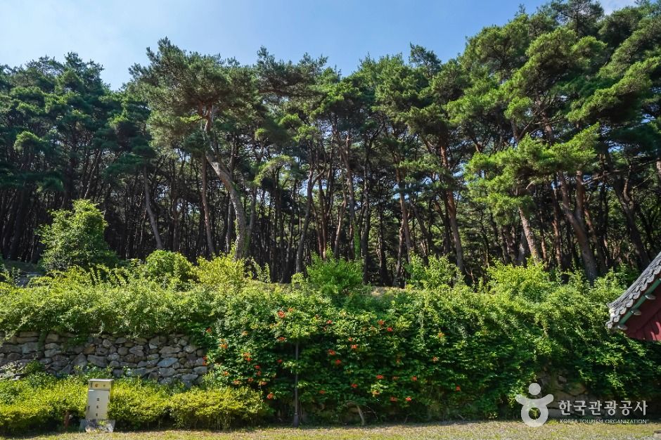 달성_남지장사 (6)