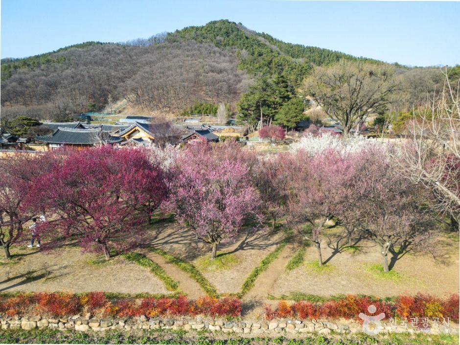 남평문씨본리세거지
